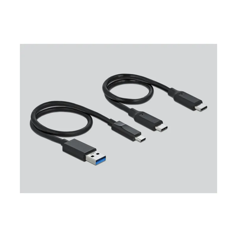 Delock Dockingsstation USB-C – M.2 NVMe
