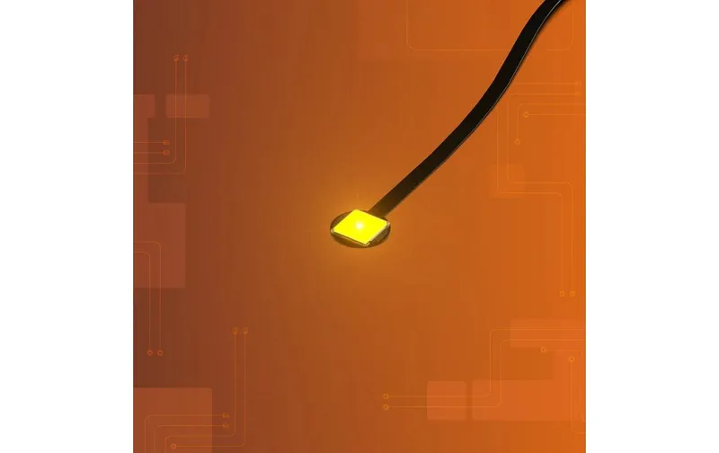 Light My Bricks 2.0 Astro LED Gross Orange Flacker-Effekt 30 cm 2er Pack