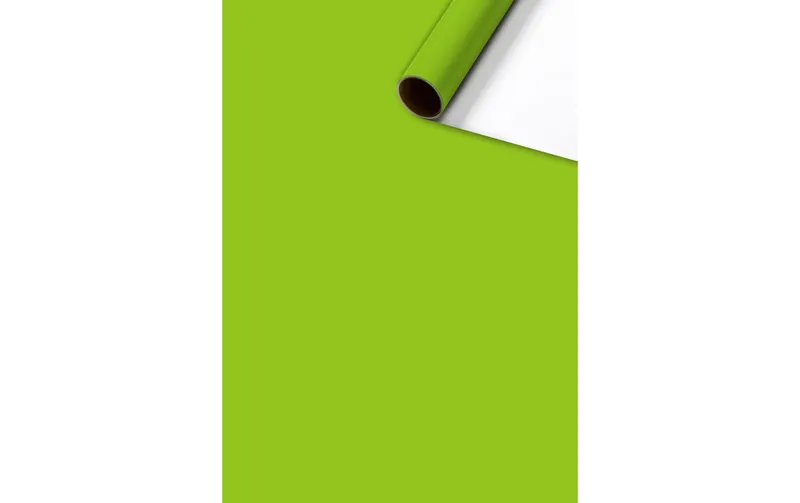 Stewo Geschenkpapier Colour vert/Hellgrün / blanc, 70 cm x 2 m