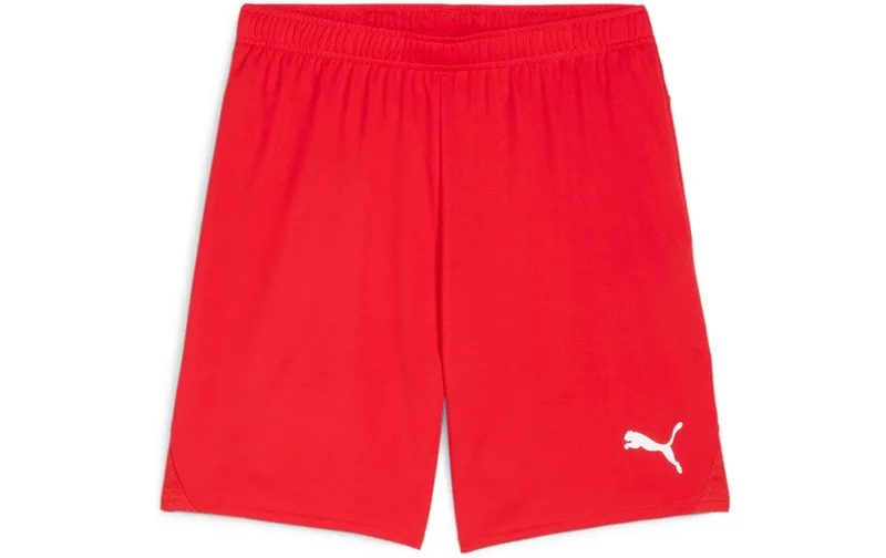 PUMA Shorts teamGOAL M, Rot