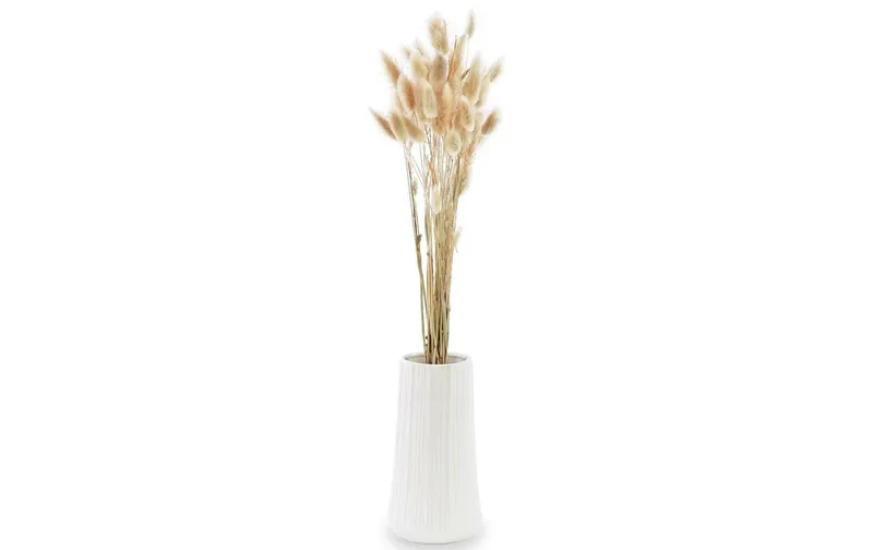 Soli Collection Trockenblumen Lagurus 50-60 cm, naturelfarben