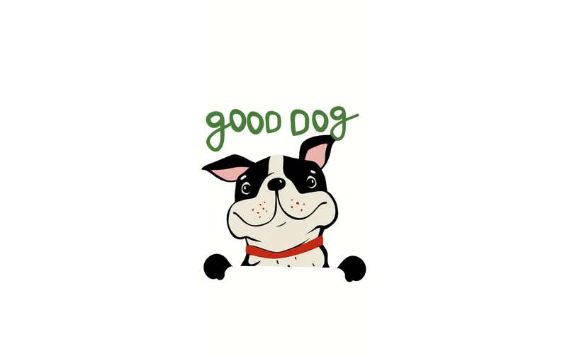 Paper + Design Taschentücher Good Dog 10 Stück