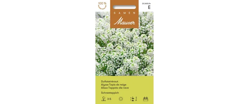Samen Mauser Saatgut Duftsteinkraut Schneeteppich