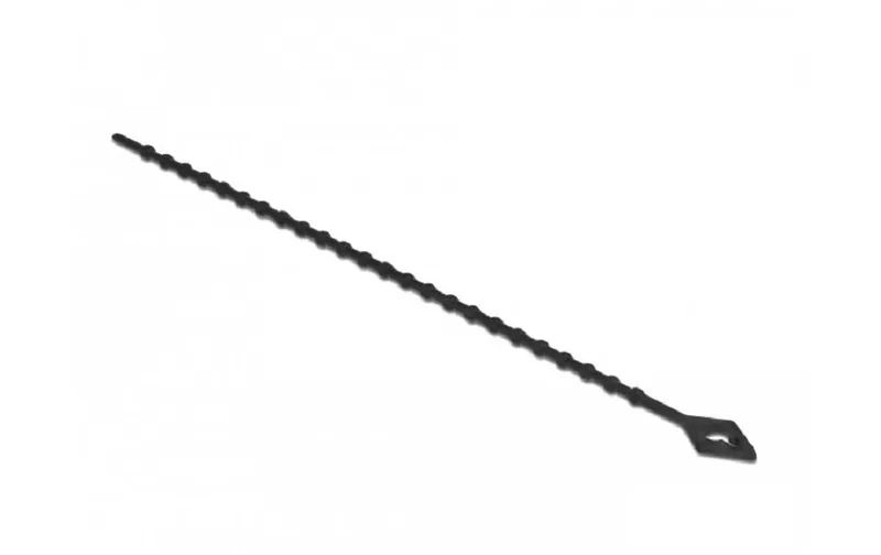 Delock Kabelbinder nero 200 mm x 2.4 mm, 100 pezzi