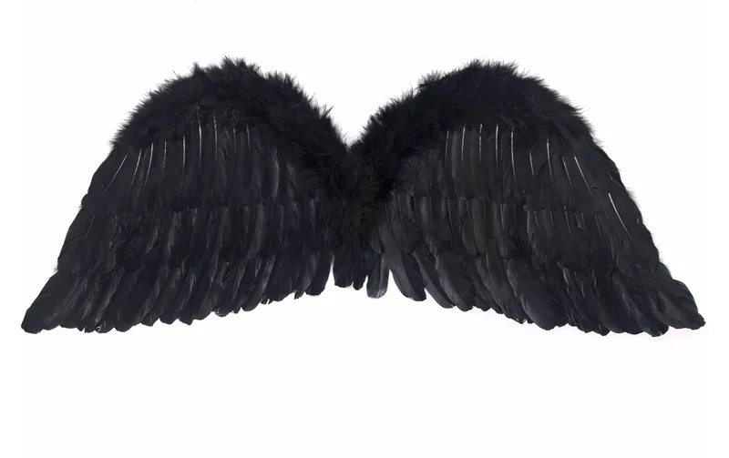 Partydeco Accessoire de Fête Ailes d'Ange 75 x 45 cm, Noir