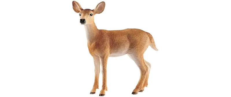 Schleich Spielzeugfigur Wild Life biancowedelkuh