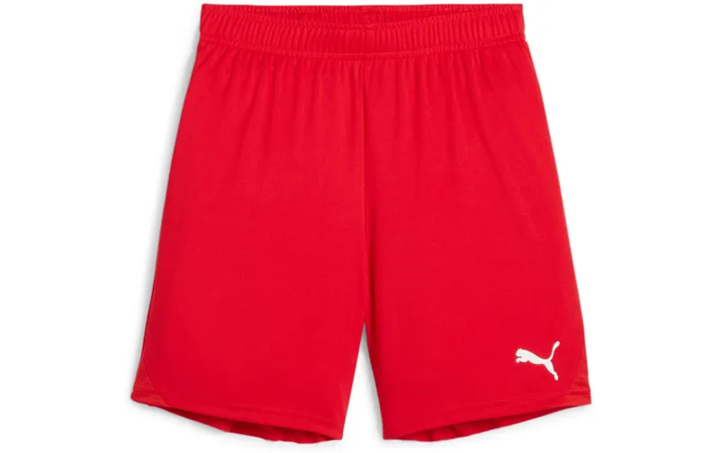 PUMA Shorts teamGOAL Jr 164, Rot