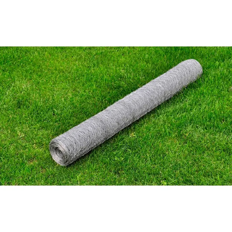 Drahtzaun per Hühner acciaio zincato 25x1 m Silbern