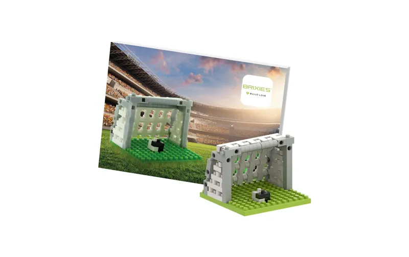 BRIXIES Bausteinmodell Fussball aus 142 Bausteinen
