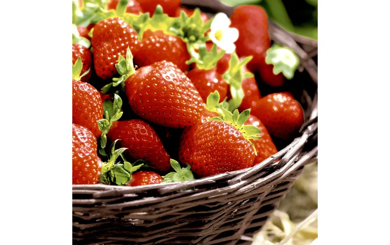 Paper + Design Papierservietten Strawberries 33 cm x 33 cm, 20 pezzi