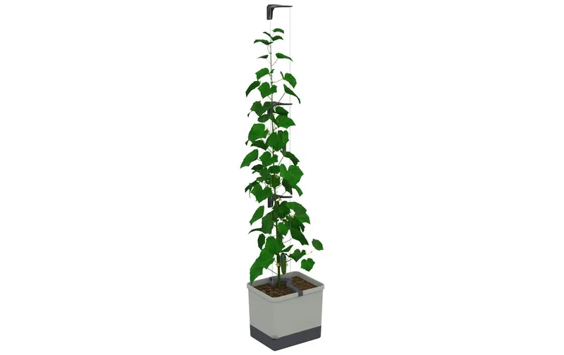 Gusta Garden CURT CUCUMBER Gurkentopf Grau