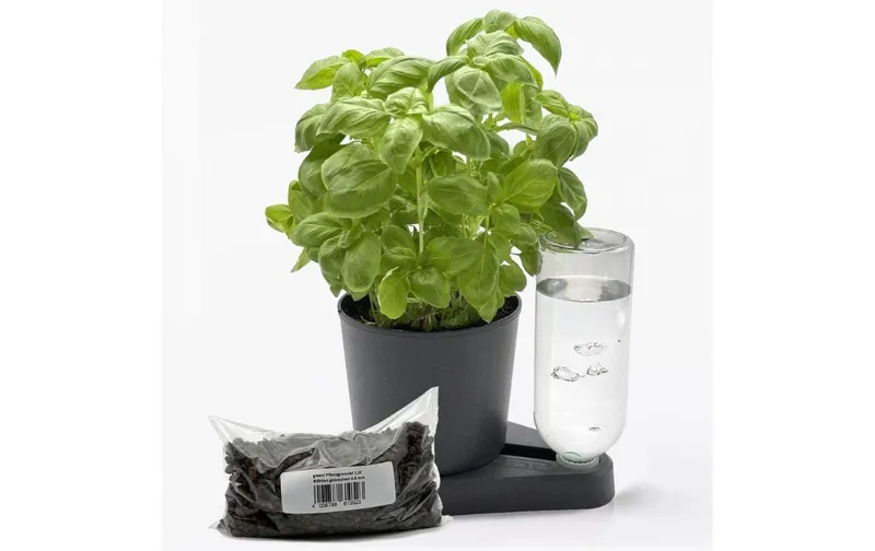 Greevi Bio Kräuterheld & Pflanzgranulat Bundle Anthrazit