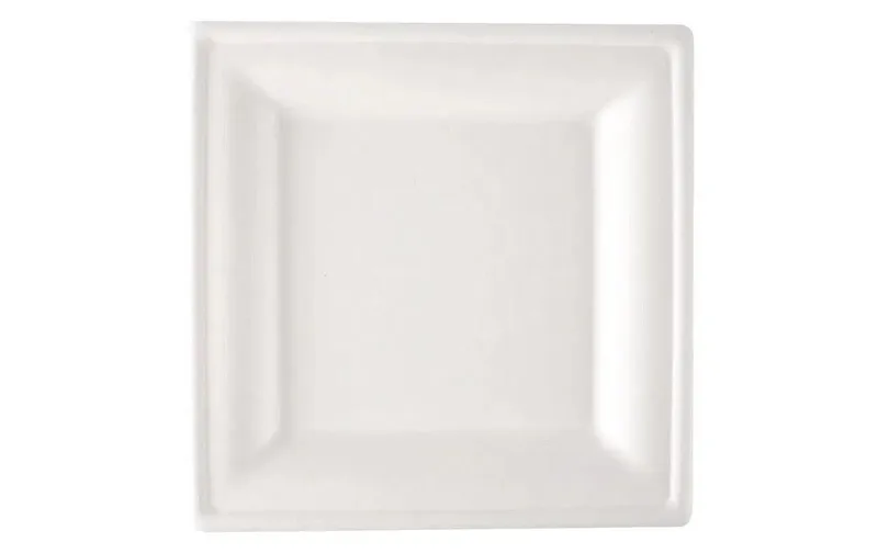 Verive Einwegteller 16 x 16 cm 50 pièces