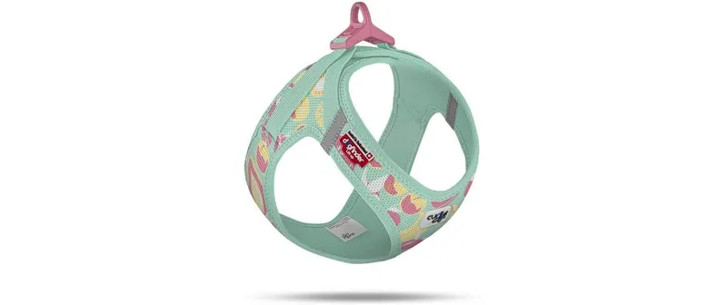 curli Geschirr Vest Air-Mesh LE26 3XS Juicy Fruits Türkis