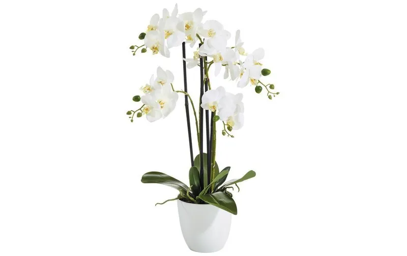 Botanic-Haus Kunstblume Phalenopsis im Topf, 4 Rispen, white