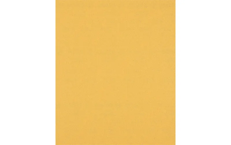 Bosch Professional Schleifpapier EXPERT C470, 230 x 280 mm, G 120