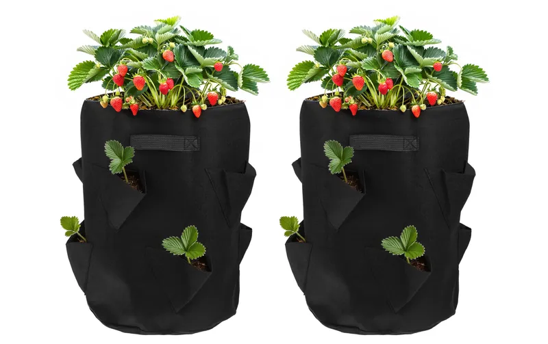 STRUCT Pflanzentasche Erdbeeren, 2er Set