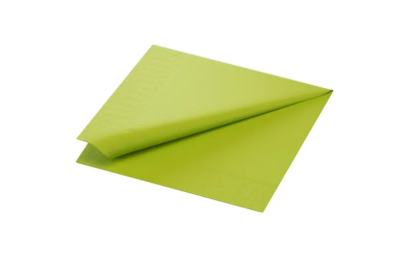 Duni Papierservietten 149079 40 cm x 40 cm, 250 pezzi, verde