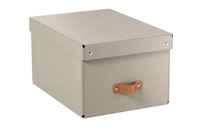 Leitz Arrchivbox Puro mittel mit Klappdeckel, 2 pièces, Sand