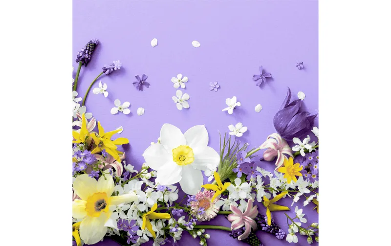Paper + Design Papierservietten Soft Spring Lila 33 cm x 33 cm, 20 pièces