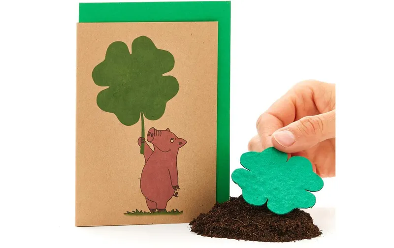 Die Stadtgärtner Schwein mit Kleeblatt Saatpapier, Natronkraftkarton, A6