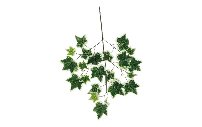 Dekomat AG Kunstpflanze Efeuzweig 70 x 40 cm, vert/blanc