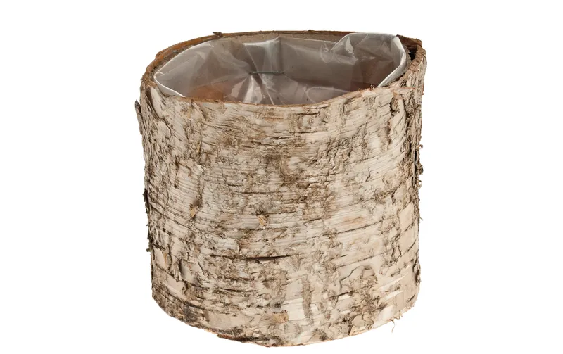 Opiflor Birkentopf Crusty, 10 cm Nature