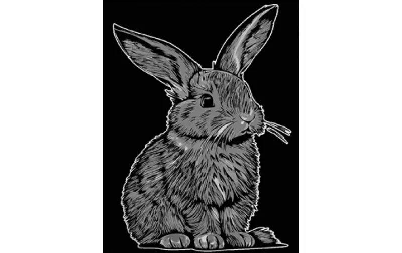 Tataruga vellutobild A4, Hase