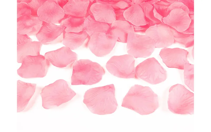 Partydeco Streudeko 100 pezzi, Pink