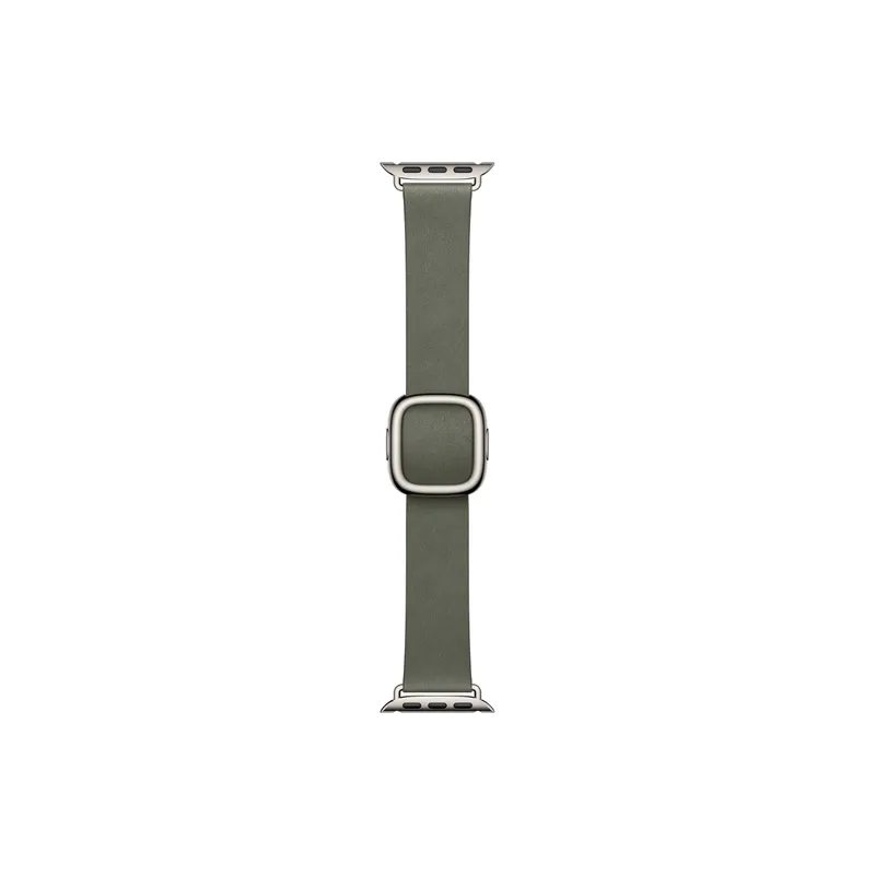 Apple Modern Buckle 42 mm Sage Gray Medium