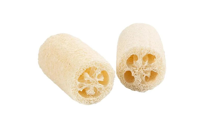 Creativ Company Natürlicher Luffa-Schwamm 10 x 5.5-8 cm, Hellnatur, 2 Stück