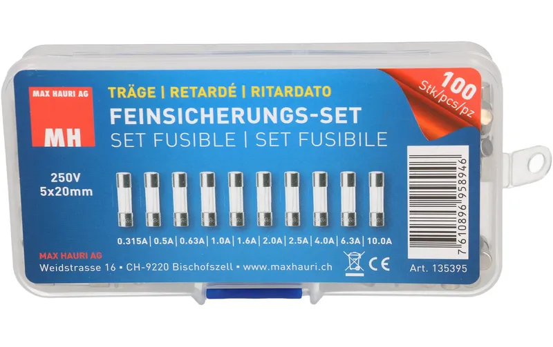 Max Hauri Schmelzsicherung Set 5 x 20 mm Träge, 100 Stück