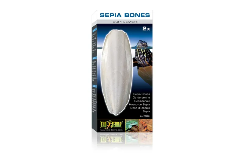 Exo Terra Ergänzungsfutter Sepiaschale, 2 Stk.