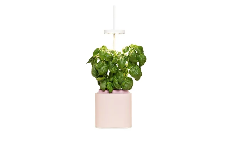 Prêt à Pousser Kräutertopf Nano, Quartz Pink