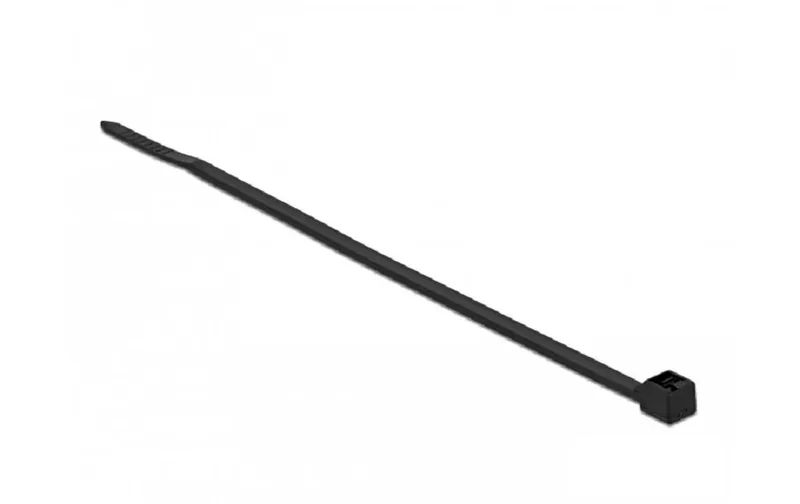 Delock Kabelbinder noir 100 mm x 2.5 mm, 100 pièces