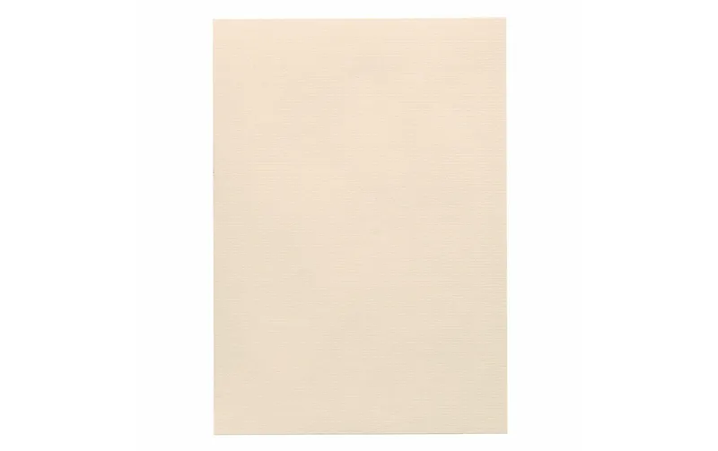 Artoz Bastelpapier 1001 A4 220 g/m² Ivory, 5 Blatt