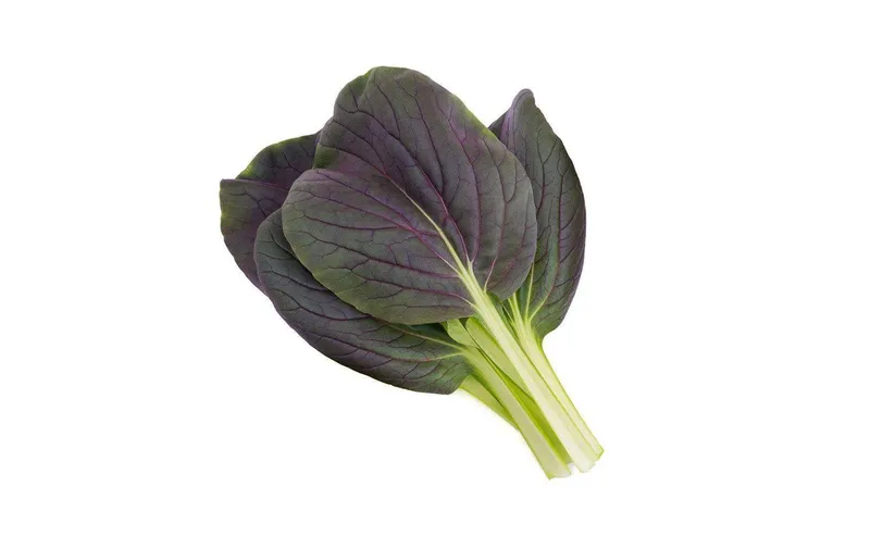 Click and Grow Samen Roter Pak Choi