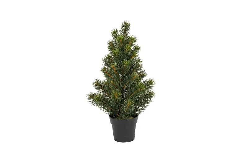 Botanic-Haus sapin de Noël Tannenbaum im Topf, 41 cm