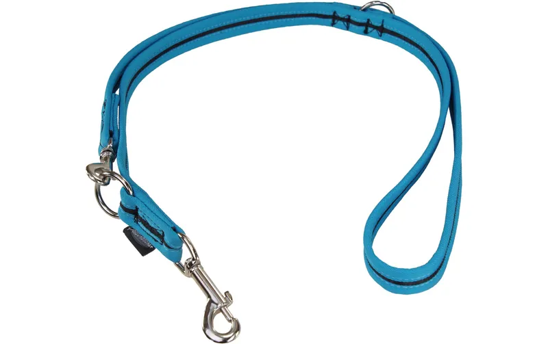 Grossenbacher Hundeleine 180 cm, 15 mm, noir/Türkis