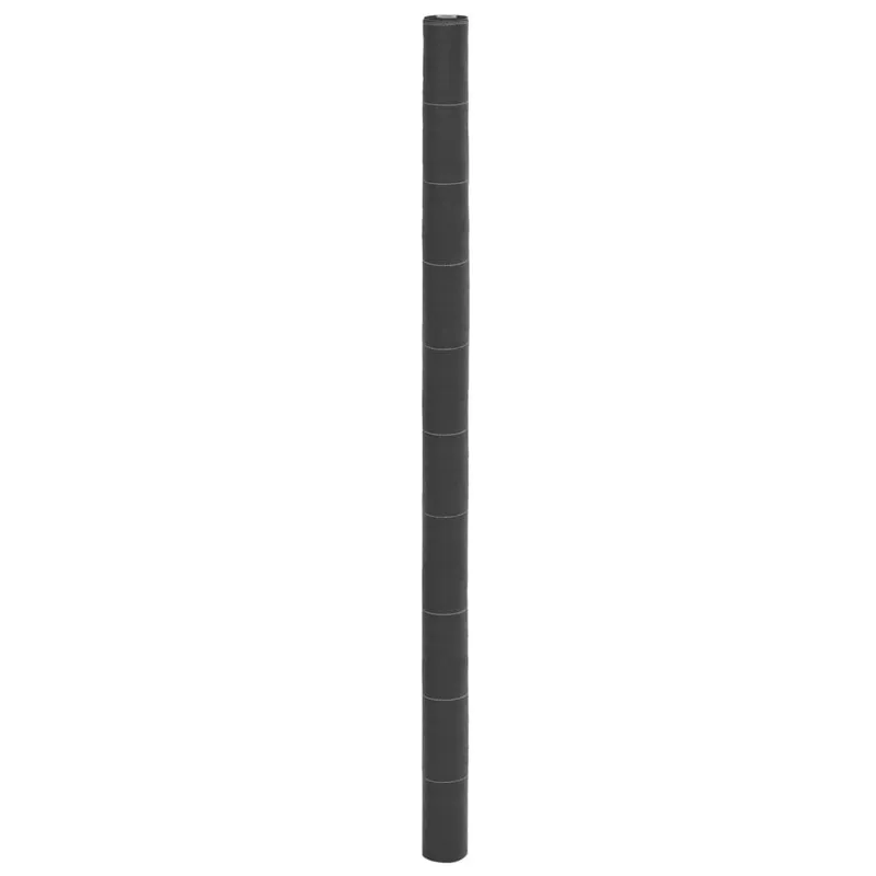 Unkrautvlies Schwarz 2x50 m PP