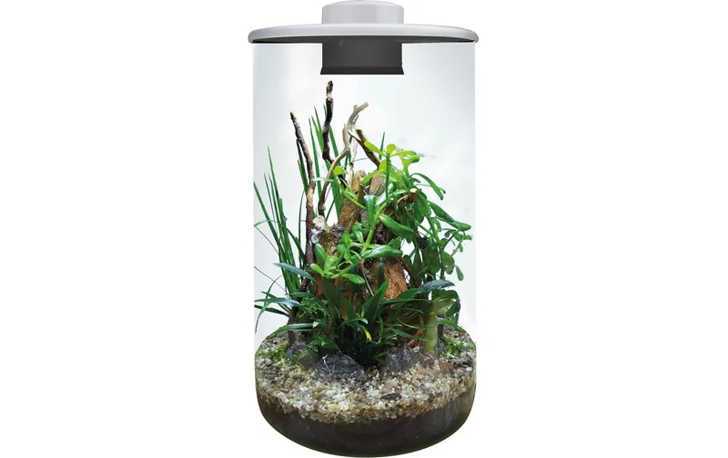 Bio Art Pflanzengefäss Cylinder 285 bianco
