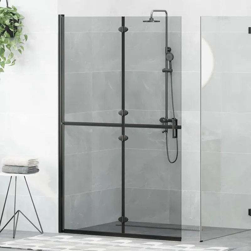 Paroi de douche à l'italienne Noir 120 x 6,5 x 190 cm