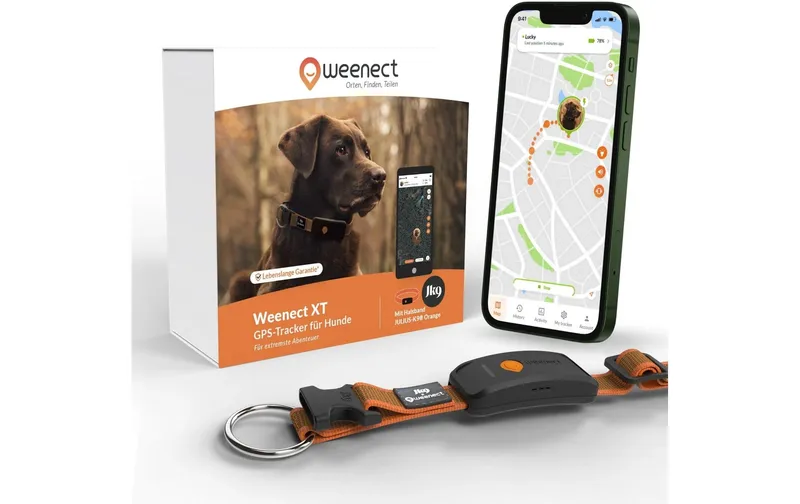 Weenect GPS-Tracker für Hunde XT mit Halsband orange