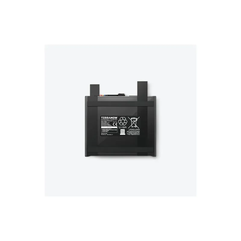 Terramow Terramow Akku V1000 Lithium-Ionen 24 V 98.55 Wh blu