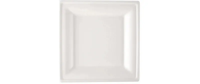 Verive Einwegteller 20 x 20 cm, 50 pezzi