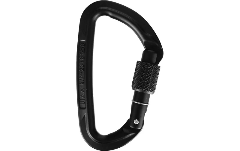 Wild Country Carabiner Session Screw Gate Schwarz