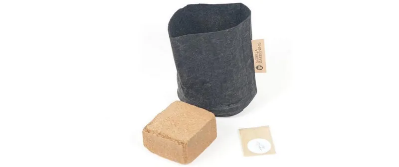 Gorilla Gardening Pflanzset Koreanische Minze