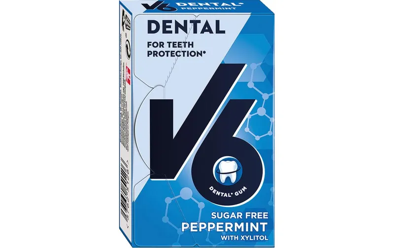 V6 Kaugummi Dental Peppermint 24 g