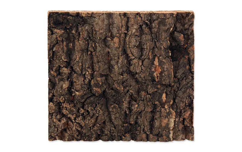 Repti Planet Kork-Rück Wand 19 x 17.3 x 2 cm