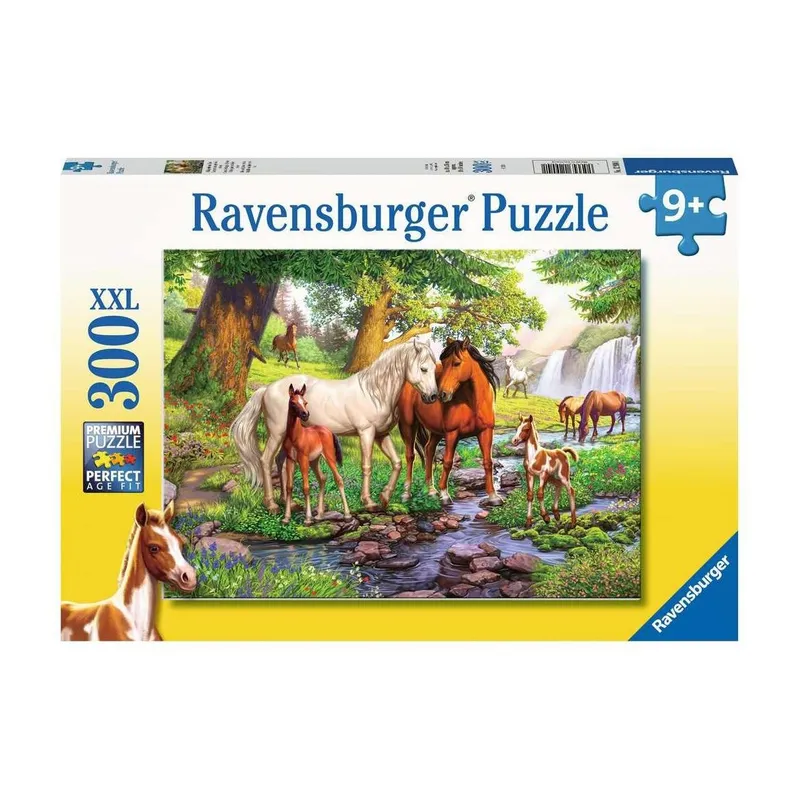 Ravensburger Wildpferde am Fluss